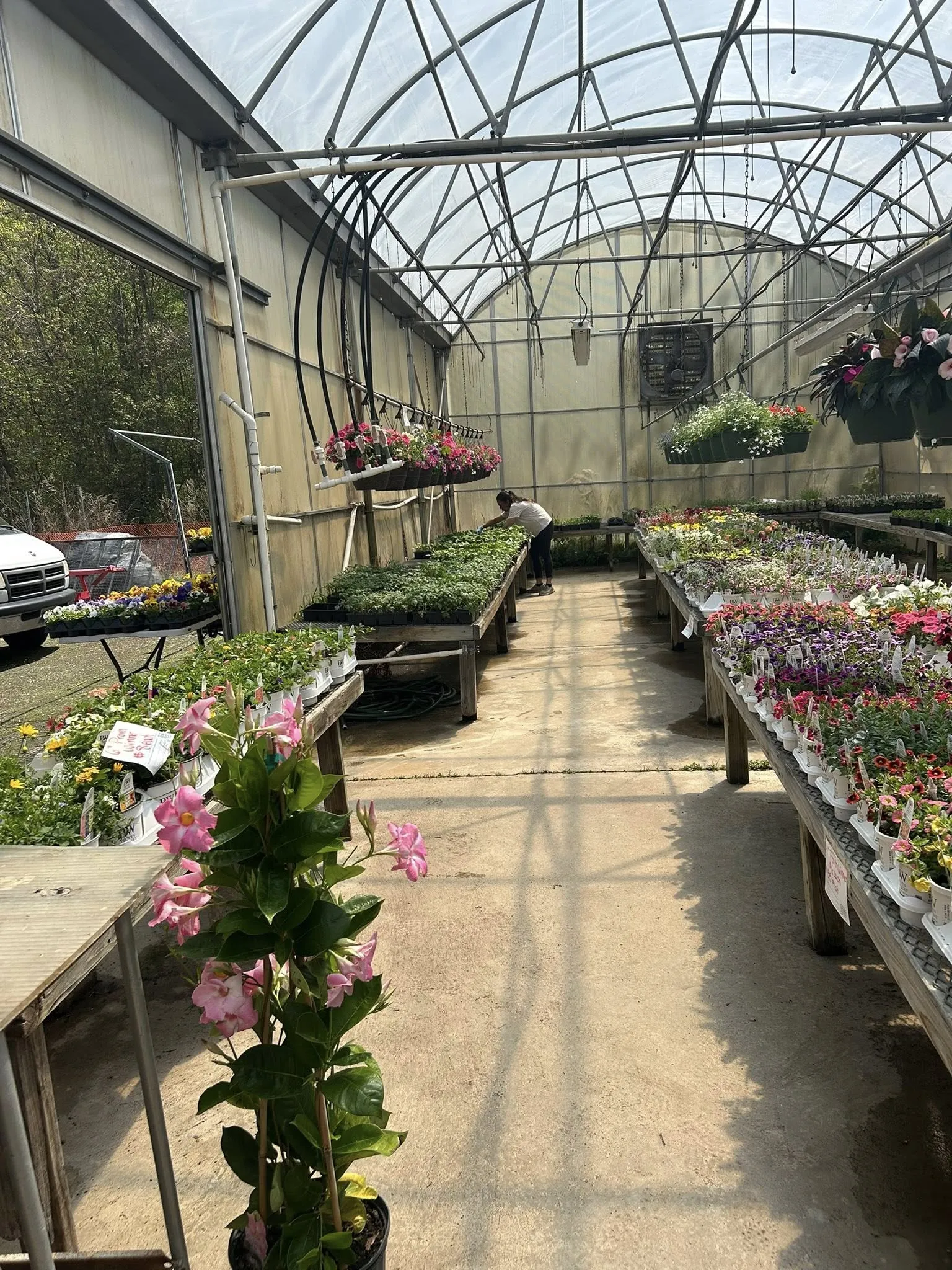 Fresh seasonal blooms grown in Cheshire