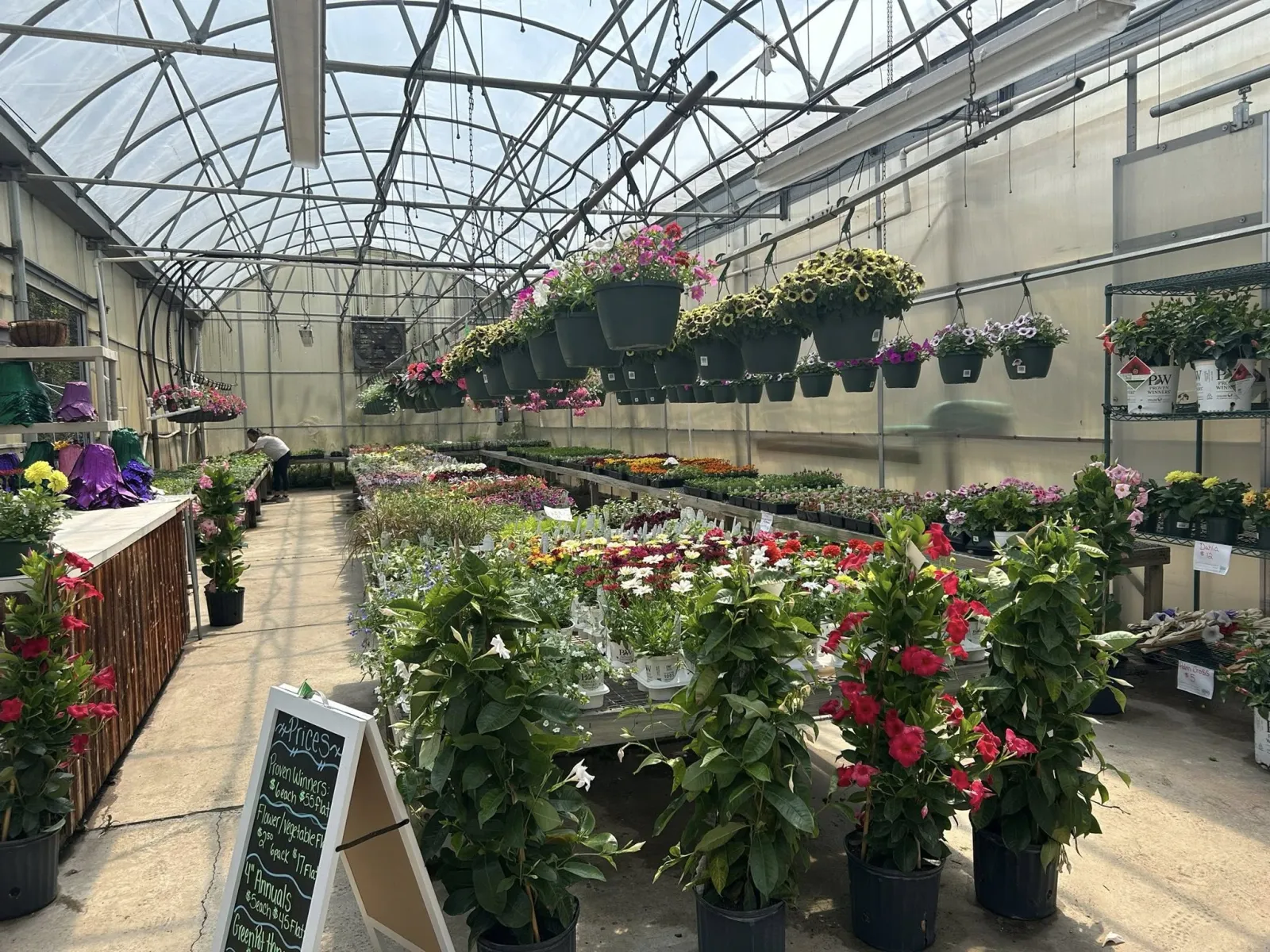 Healthy flowering plants grown at Keegan Growers